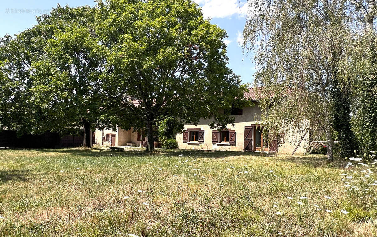 Maison à VONNAS