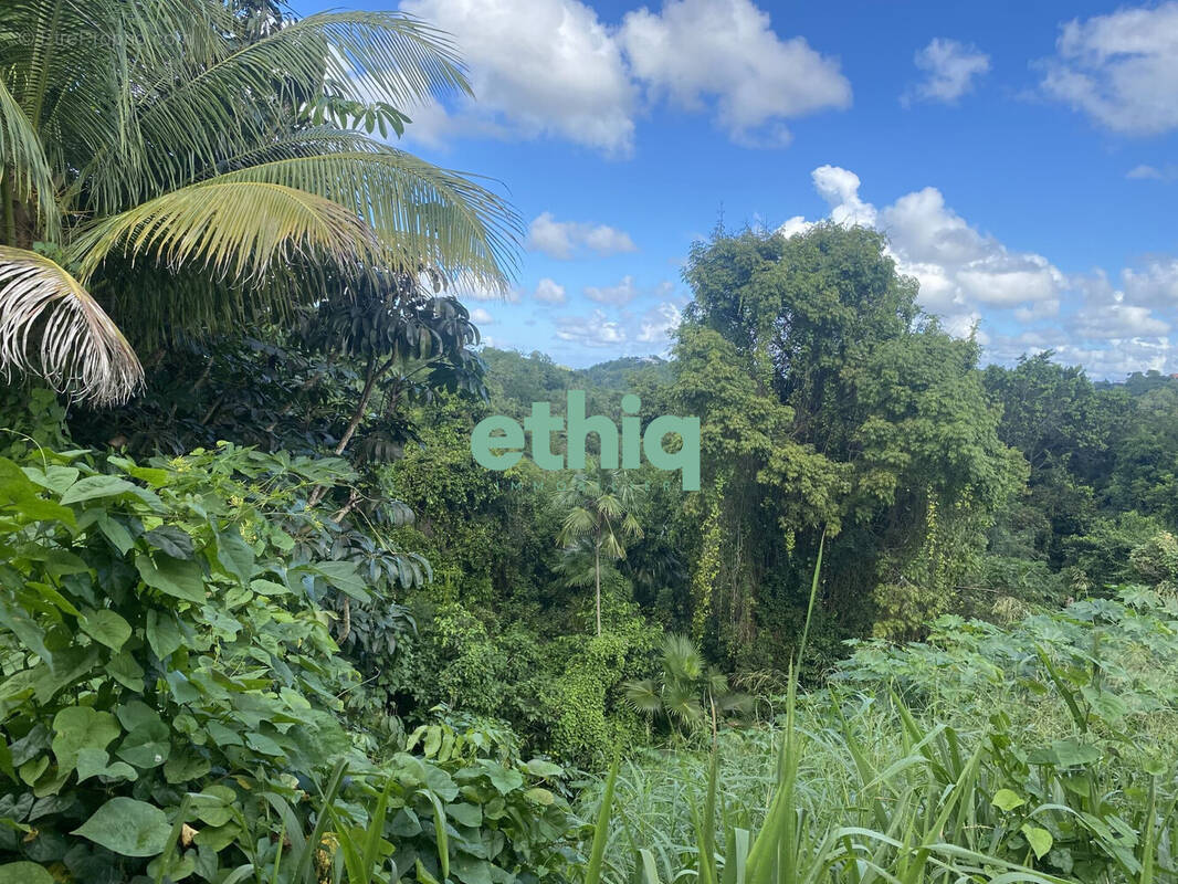 Terrain à LE GOSIER