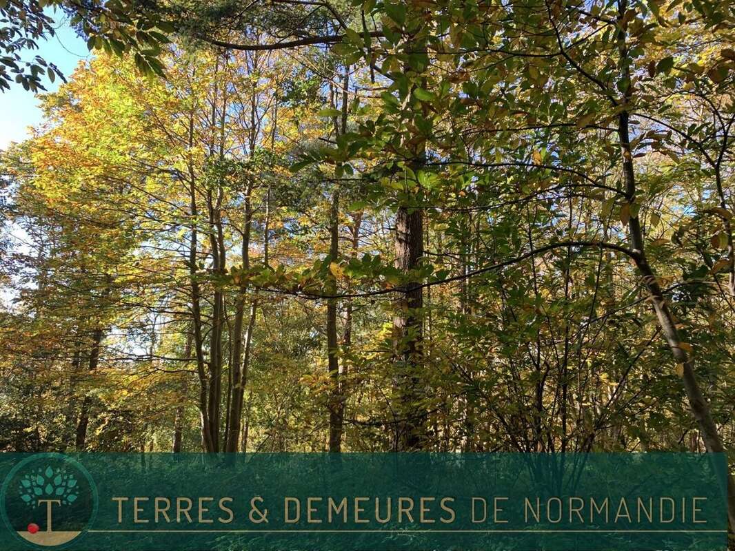 Terrain à BEUZEVILLE