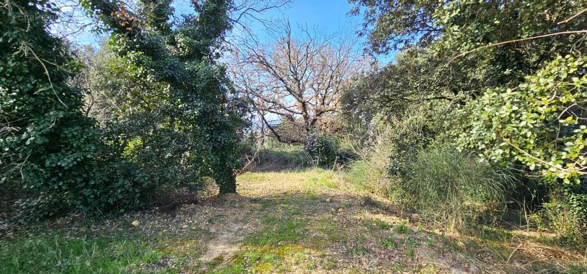 Terrain à MONTELIMAR