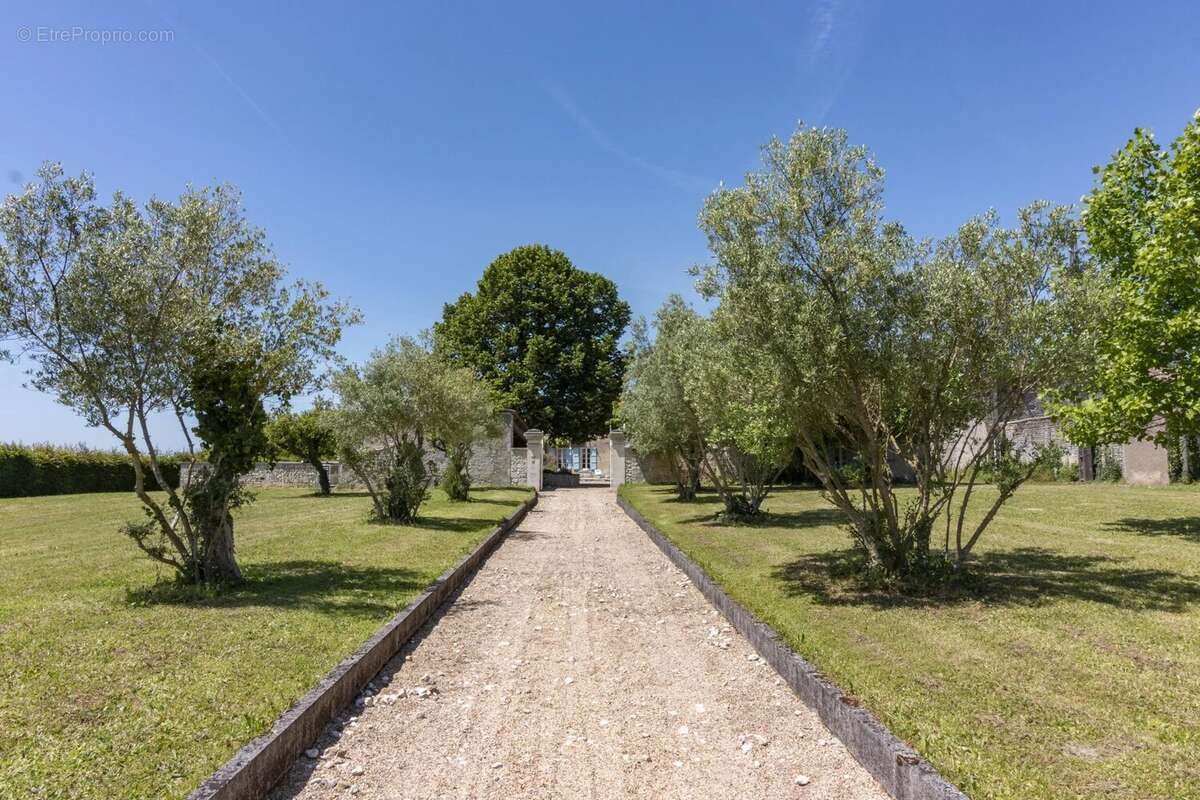 Maison à CHATEAUNEUF-SUR-CHARENTE