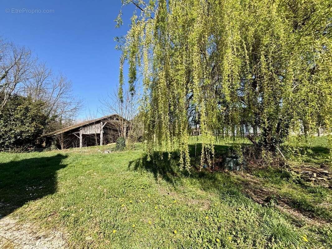 Maison à PINEL-HAUTERIVE