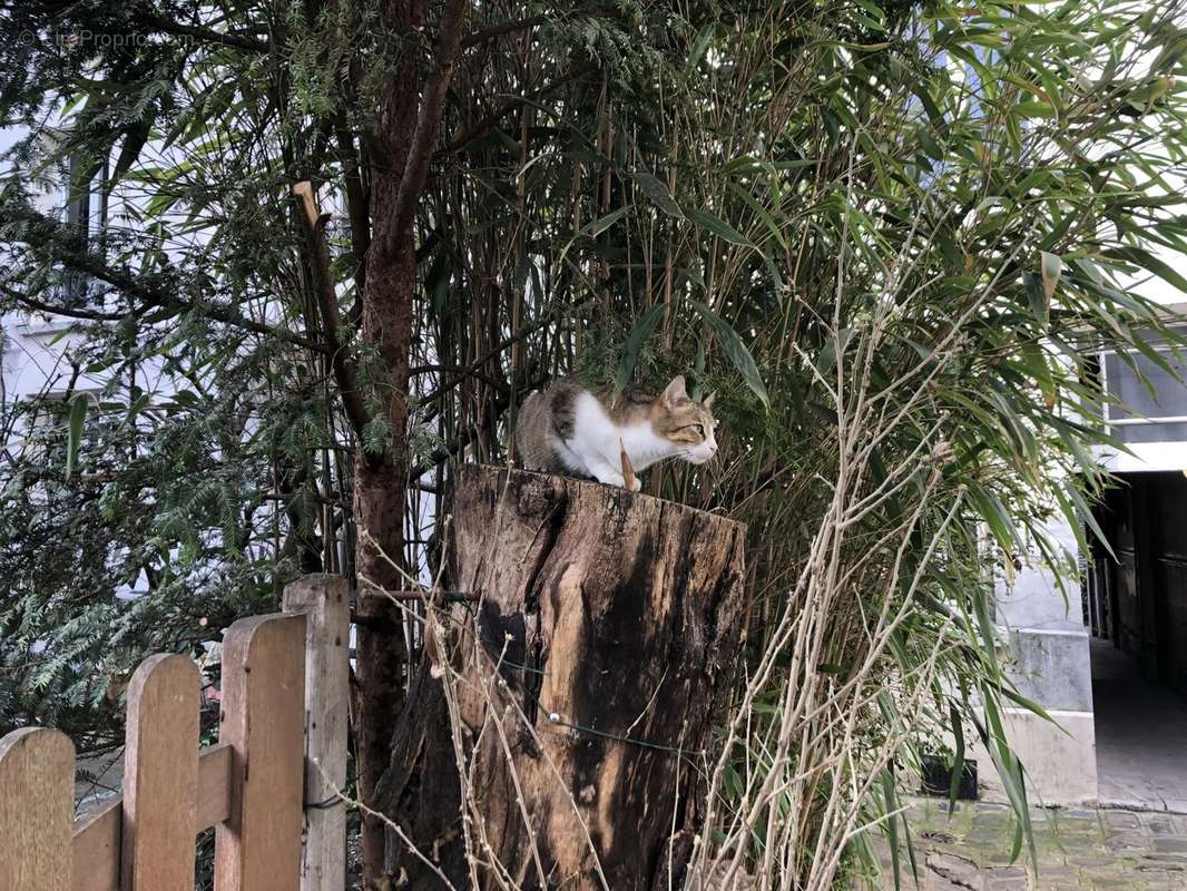 Appartement à PARIS-20E