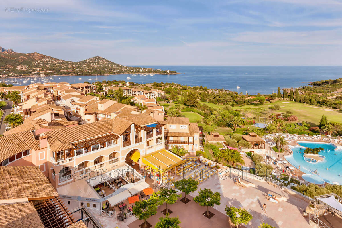 Commerce à SAINT-RAPHAEL