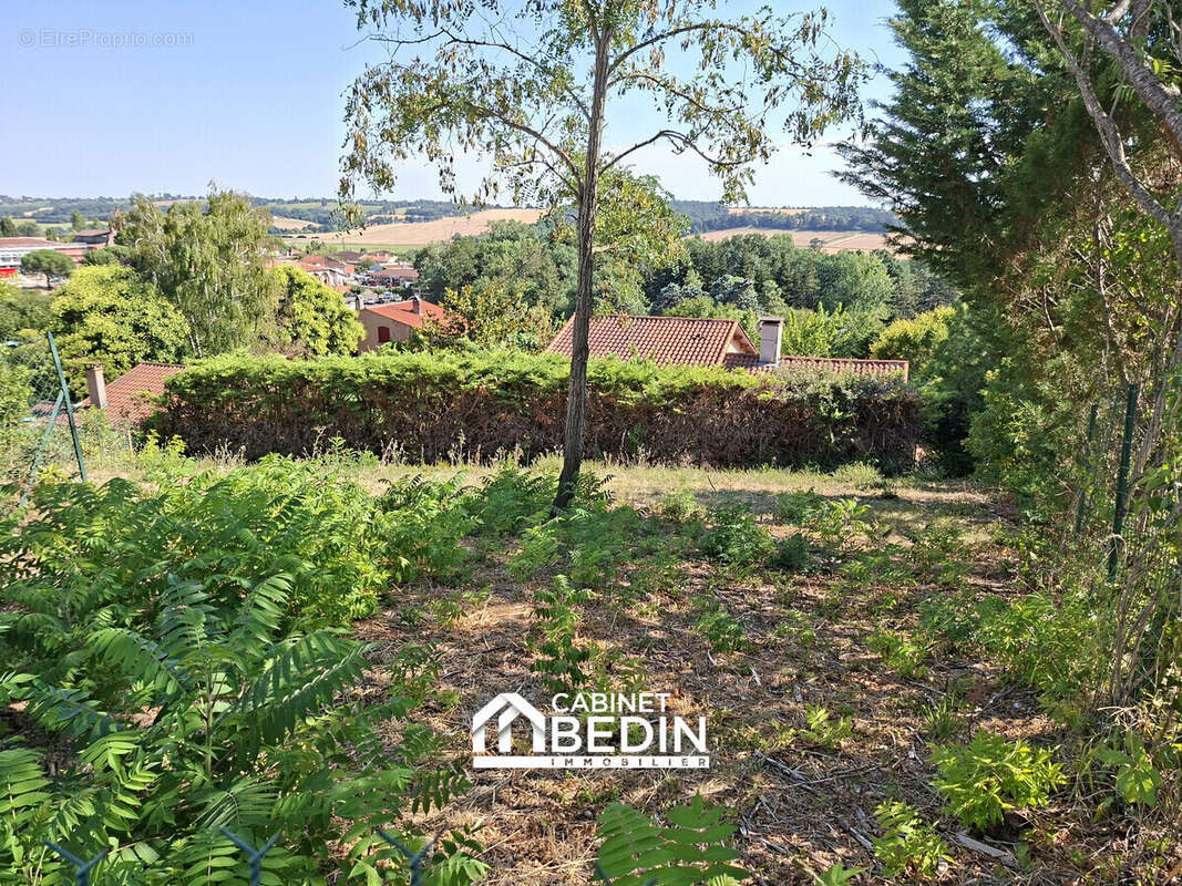 Terrain 325 m² à Dremil-Lafage  - photo 2