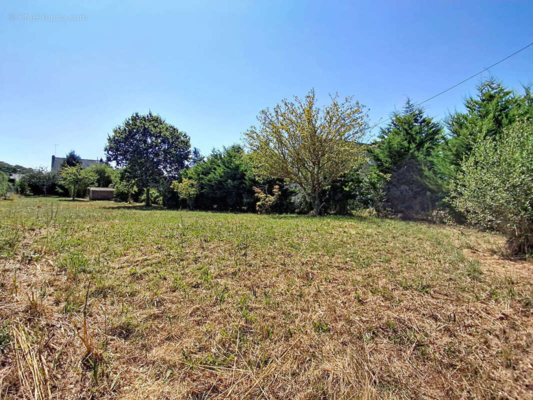 Terrain à bâtir 1 280 m²  - Hors lotissement - Libre de constructeur - Ploufragan - photo 3