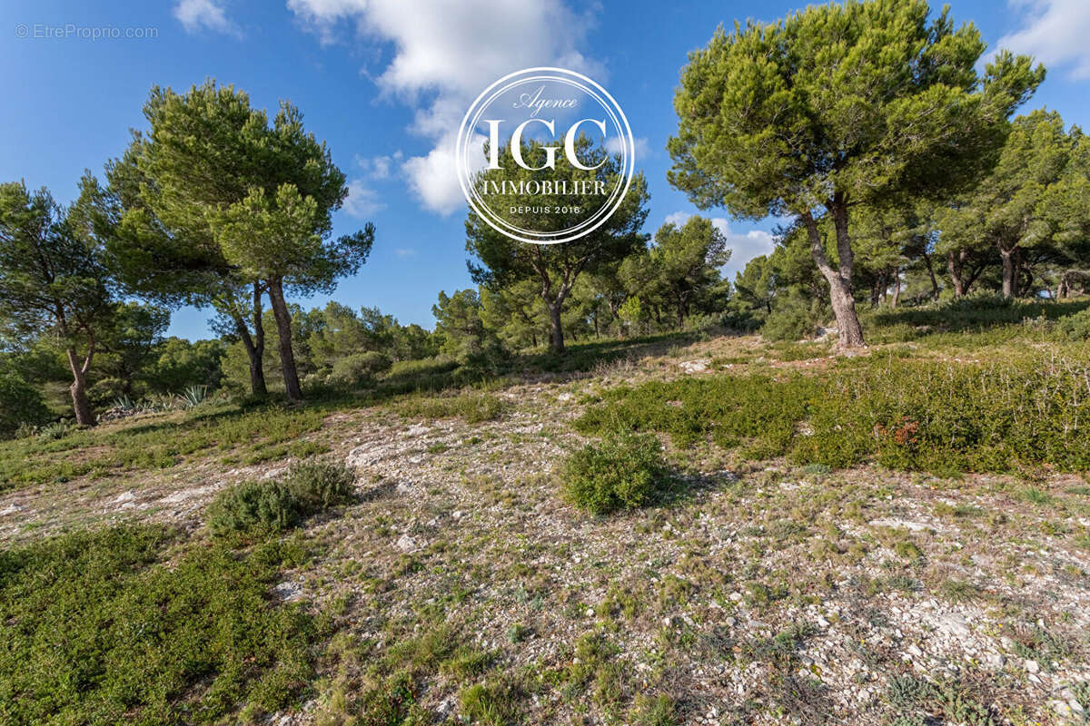 Maison de Prestige à Sausset-les-Pins  Vue Mer Panoramique  180 m² sur 1960 m² de terrain - photo 8
