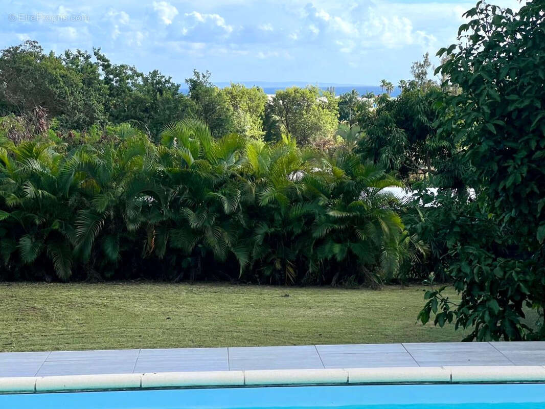 Maison à SAINT-FRANCOIS