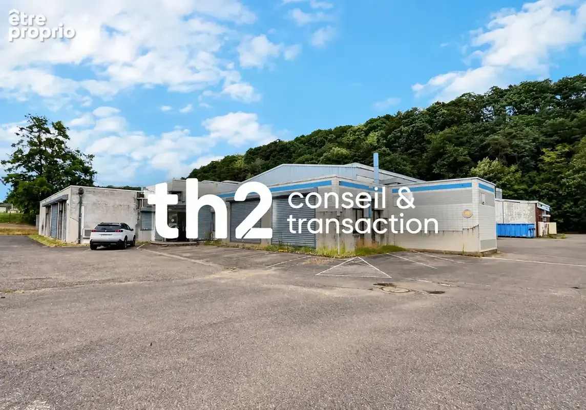 A VENDRE Bâtiment d'activité / stockage - 4500 m2 - Saint-Avold - photo 1