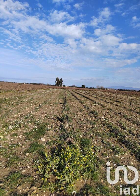 Photo 1 - Terrain à SAINTE-CECILE-LES-VIGNES