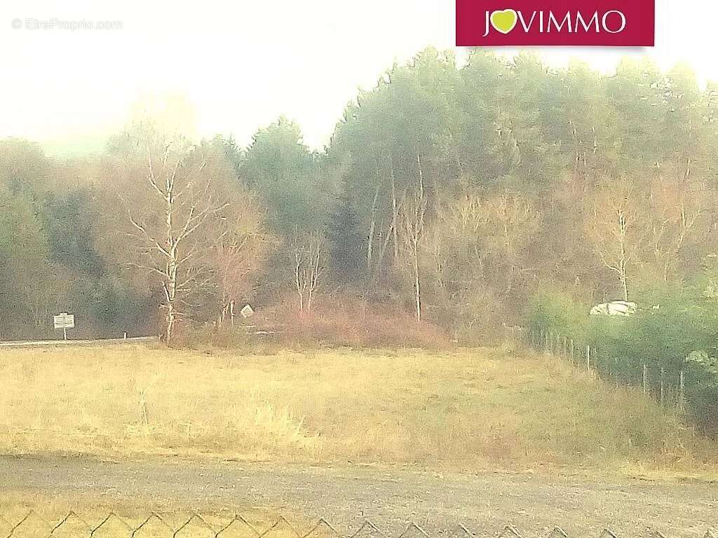 Terrain à BROMONT-LAMOTHE