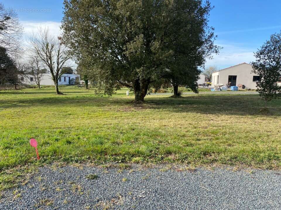 Terrain à SAINT-VAIZE