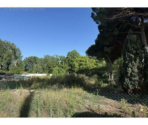 Terrain 1700 m² à Royan  - photo 2