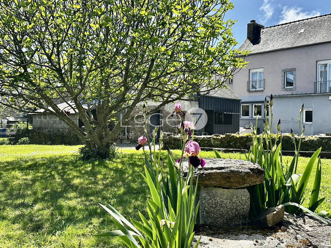 Maison à MOELAN-SUR-MER