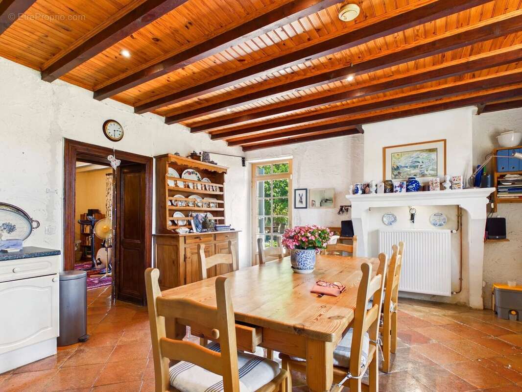 Immense maison de 4 chambres avec grande piscine et sans voisins proches - photo 19