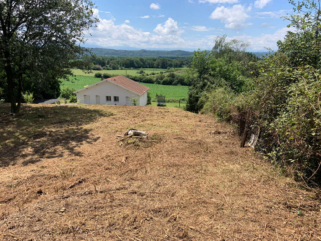 49891100g.jpg - Terrain à LABASTIDE-MONREJEAU