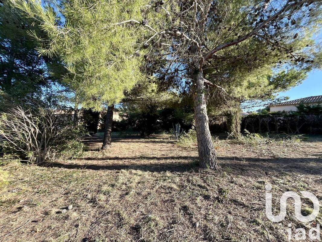 Photo 1 - Terrain à ROQUEFORT-DES-CORBIERES