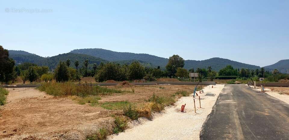 Terrain 281 m² à Hyeres  - photo 2