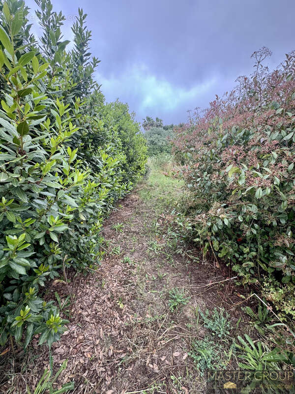 Terrain à ALATA