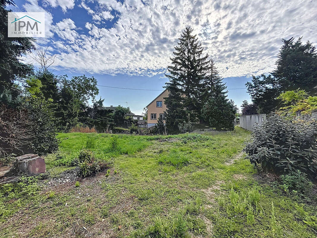 Terrain à EICHHOFFEN