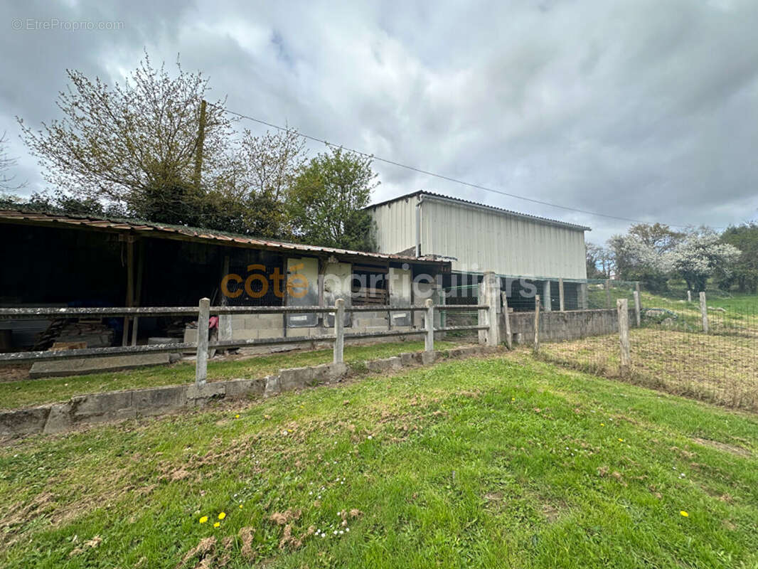 Maison à MORTAGNE-SUR-SEVRE