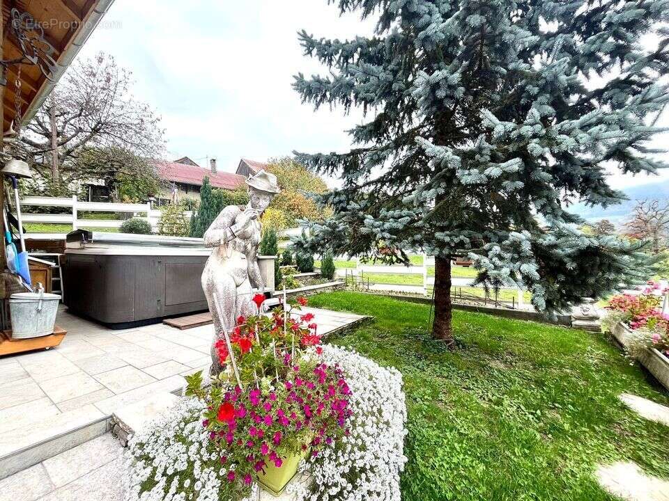 Maison à VIUZ-EN-SALLAZ