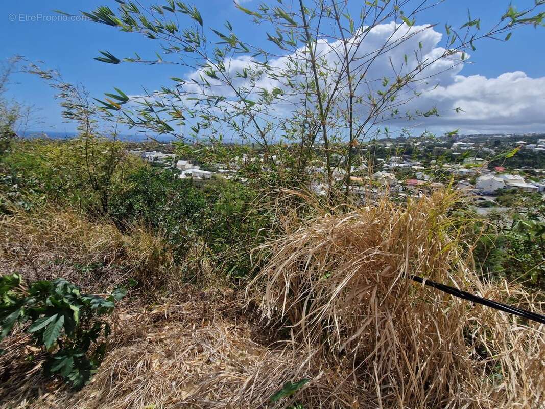 Terrain à SAINT-DENIS