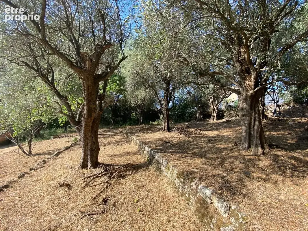 Terrain à GRASSE