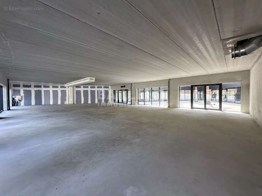 Commerce à PUGET-SUR-ARGENS