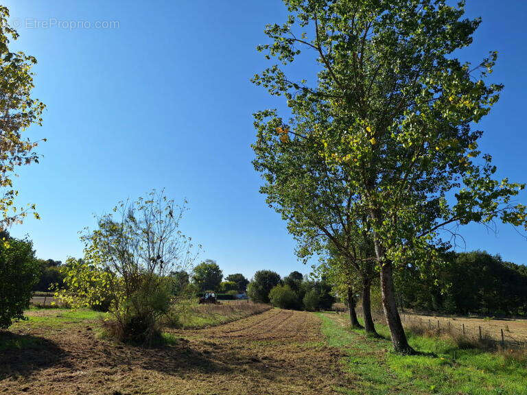 A  5 minutes des commodites de pugnac et de saint-savin - photo 21