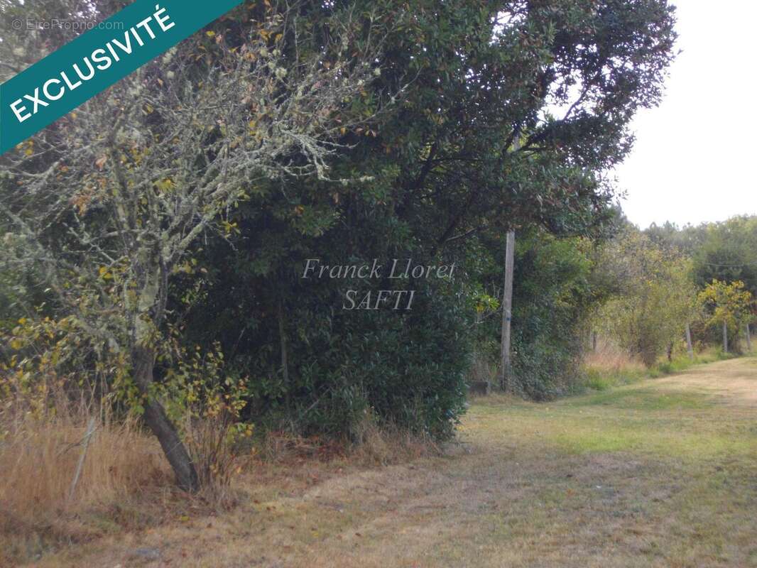 Photo 4 - Terrain à VENDAYS-MONTALIVET
