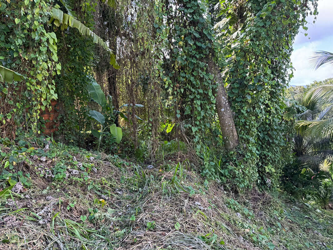 Terrain à LE ROBERT
