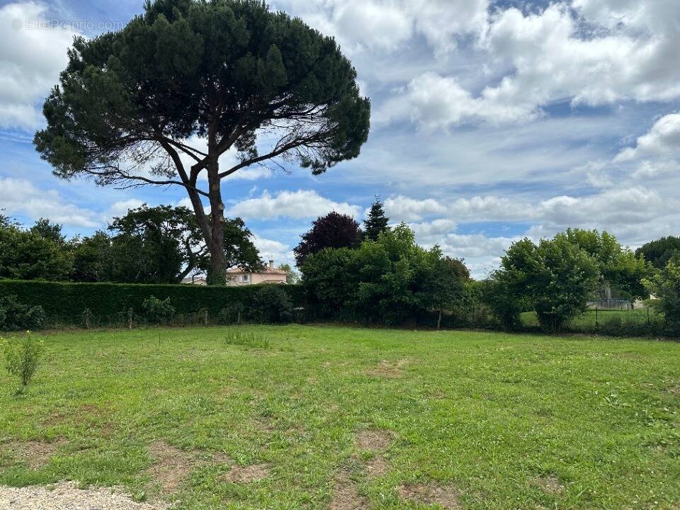 Terrain à SAUCATS