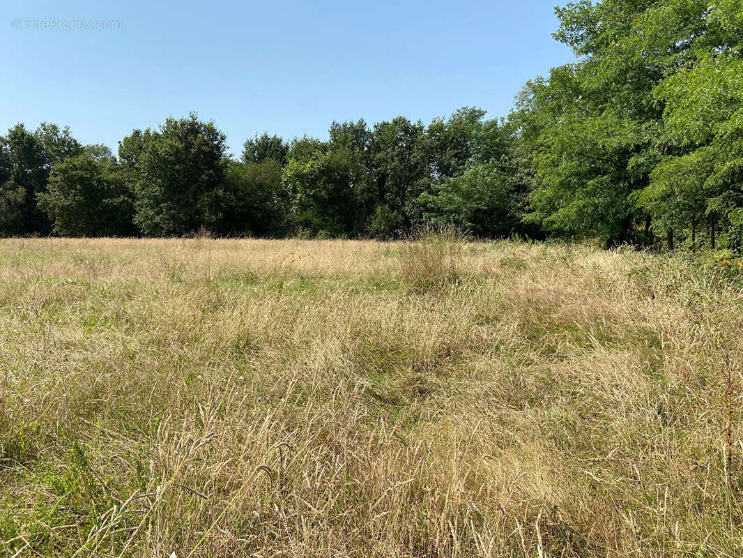 Terrain à PONTONX-SUR-L&#039;ADOUR