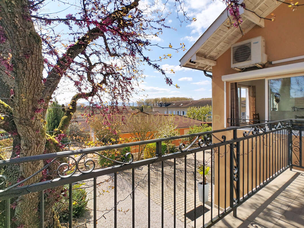 Maison à MONTMERLE-SUR-SAONE