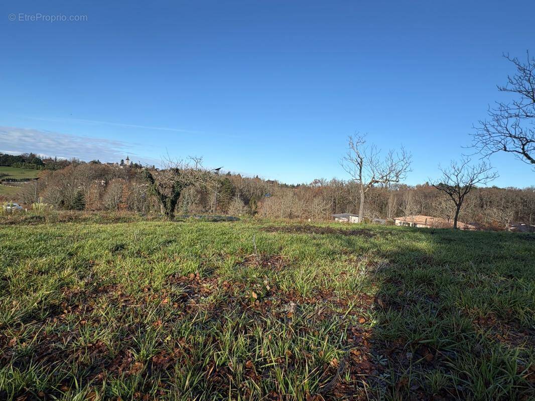 Terrain à CHAMPCEVINEL