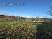 Terrain à CHAMPCEVINEL