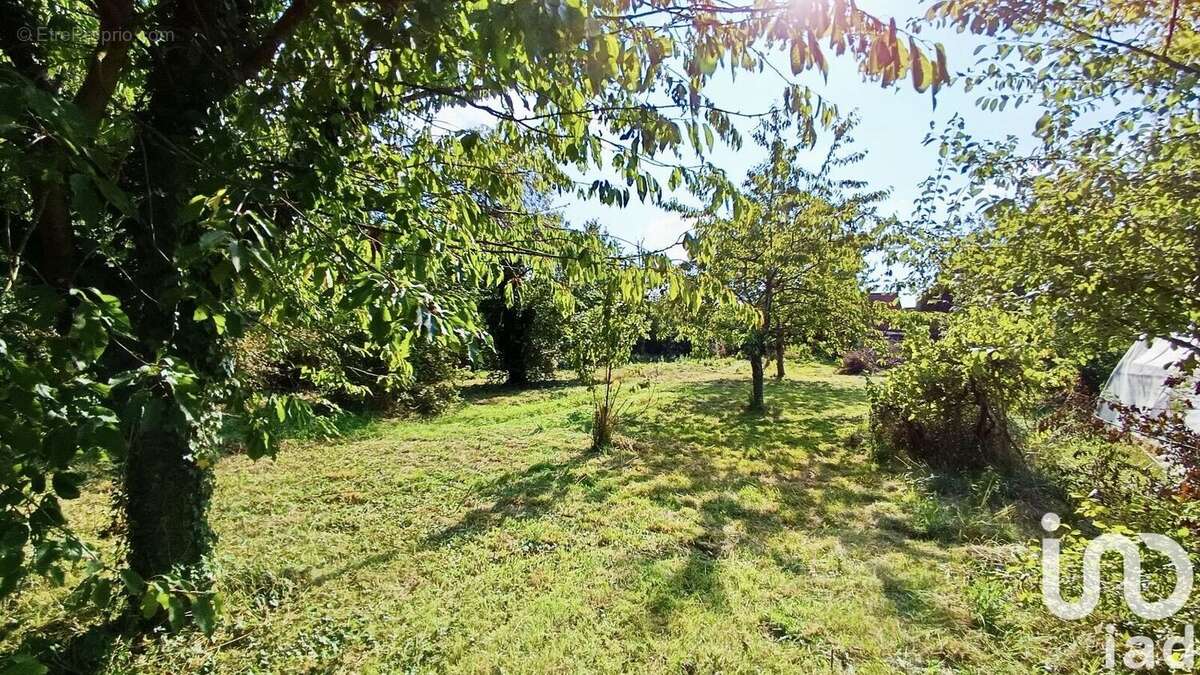 Terrain 3118 m² à Arcy-Sainte-Restitue  - photo 7