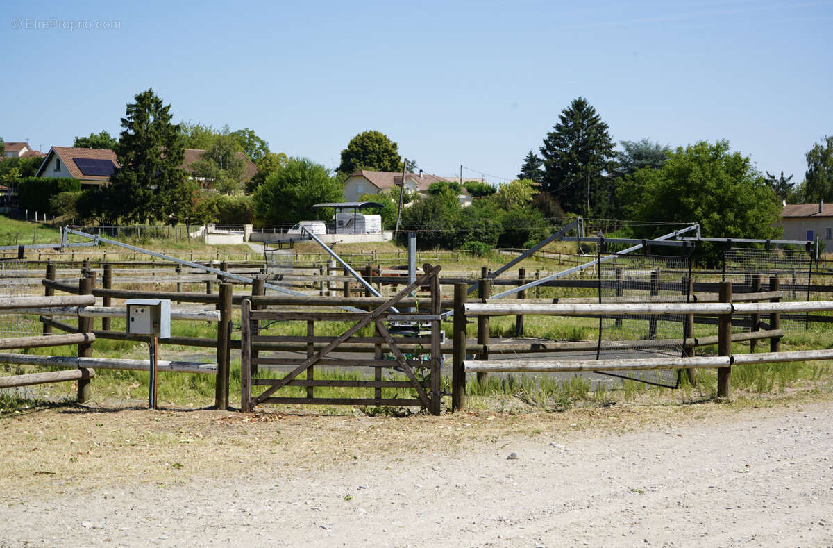 Haras du mas de meyrie - photo 3