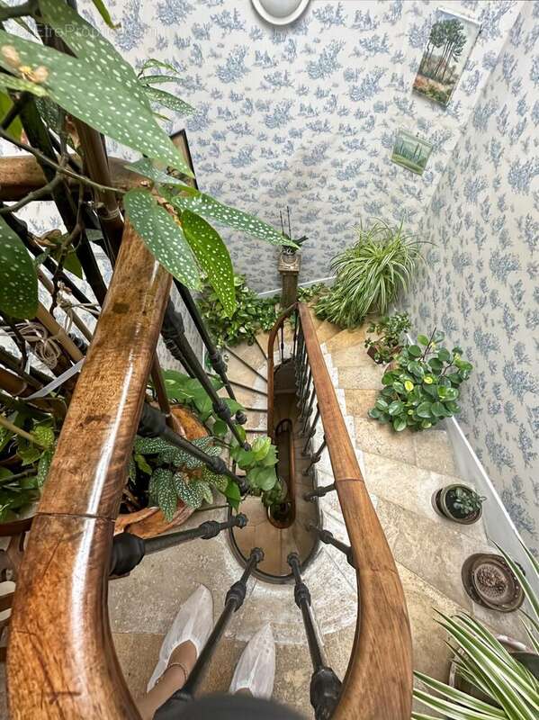 Photo 2 - Maison à BORDEAUX