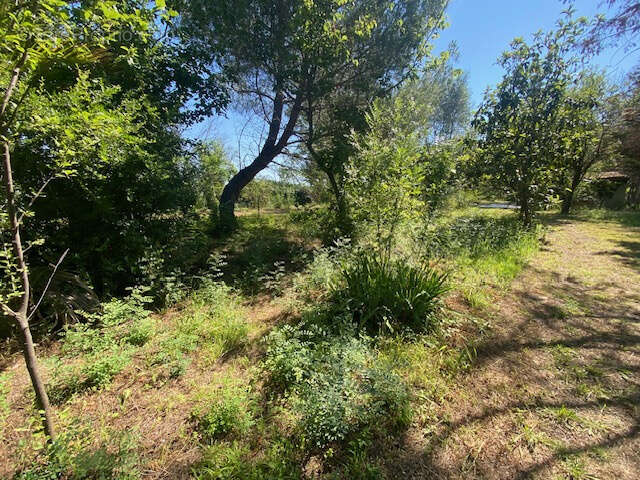 Terrain à FLORENSAC