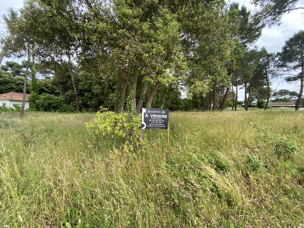 Terrain à JARD-SUR-MER