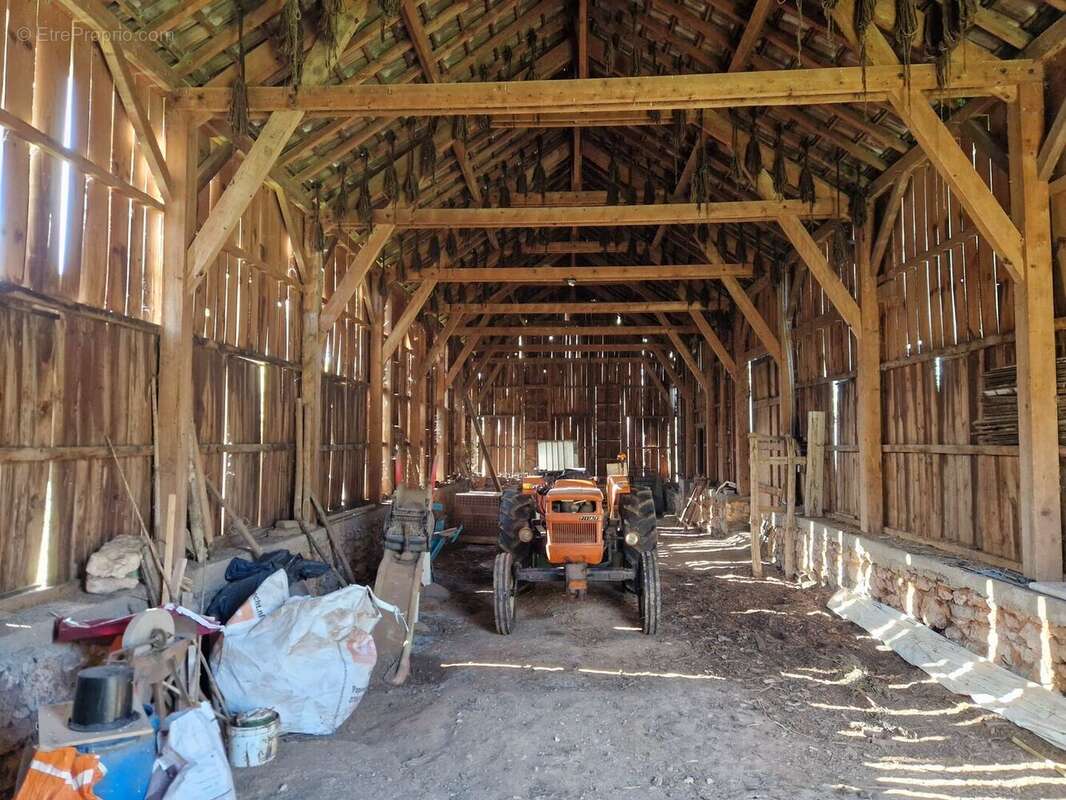 20241030112118 - Maison à TAMNIES