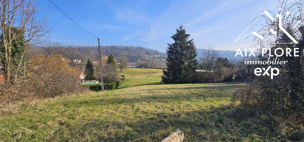 Terrain à JUJURIEUX