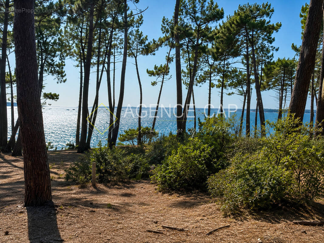 Terrain à ARCACHON