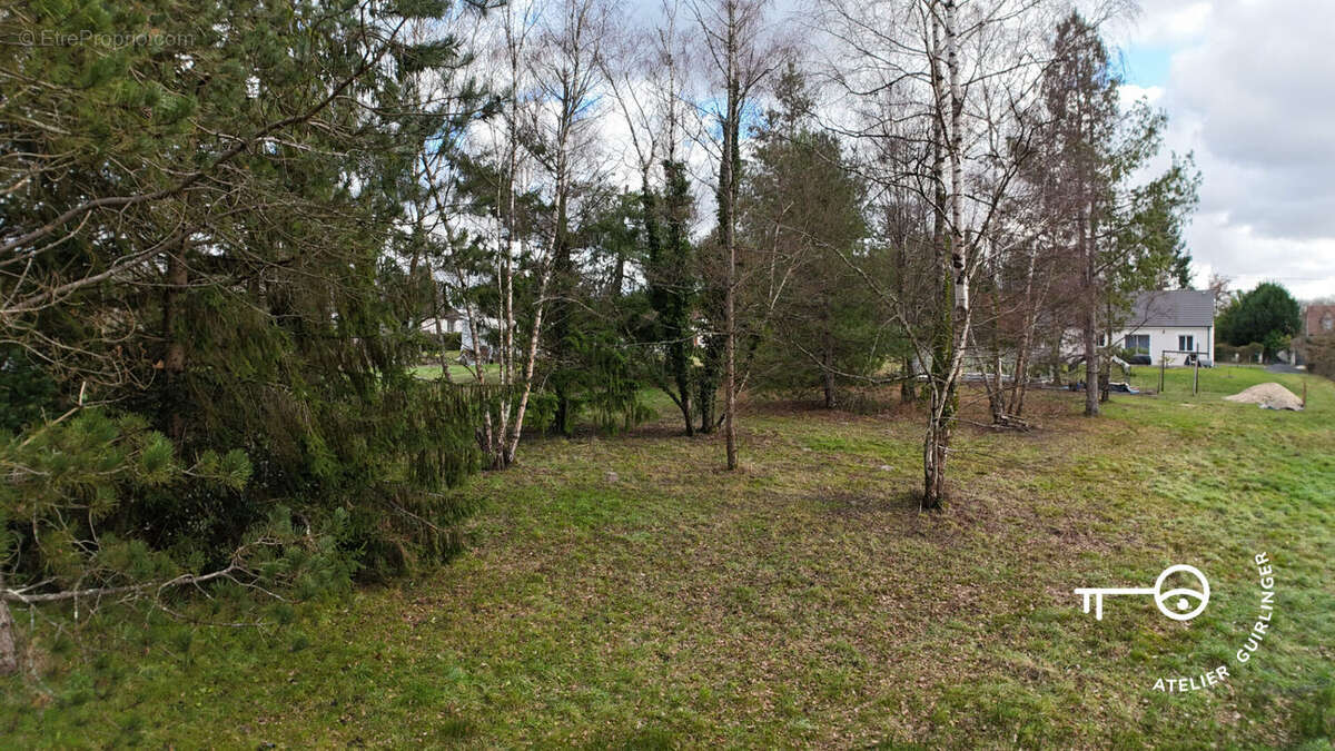 Terrain à MONTRIEUX-EN-SOLOGNE