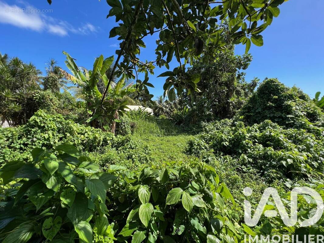 Photo 1 - Terrain à CAPESTERRE-BELLE-EAU