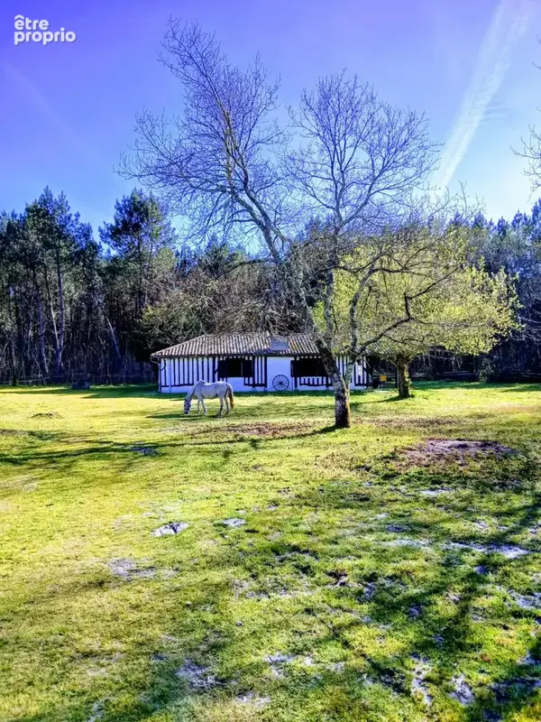 Maison 131 m² à Callen  - photo 5