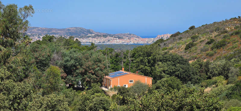 CALENZANA Maison à vendre 305 m² terrain de 5600 m² - Piscine - vue sur Calvi - photo 6