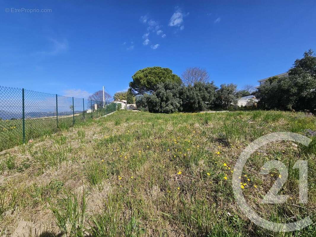 Terrain à SAINT-LAURENT-DU-VAR